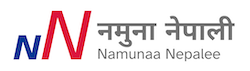 nn logo